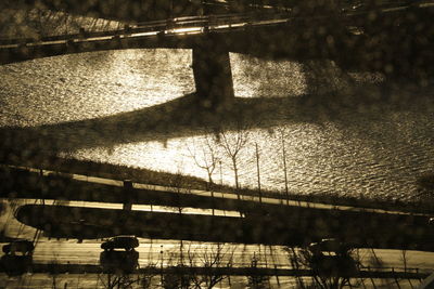 Reflection of trees on water