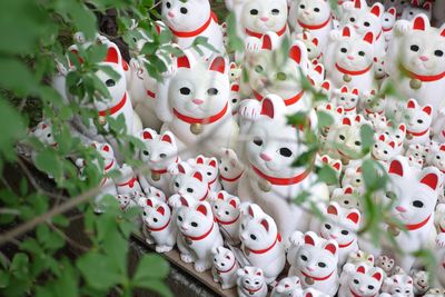 High angle view of toy cats for sale in store