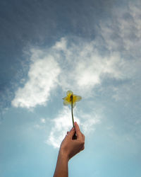 Low angle view of person hand holding flower against cloudy sky