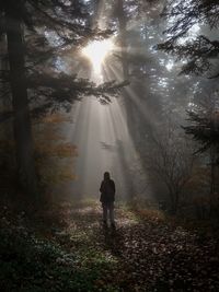 Man standing by trees in forest during autumn