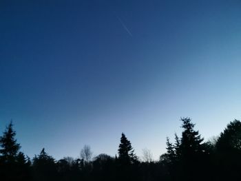 Low angle view of trees against clear blue sky