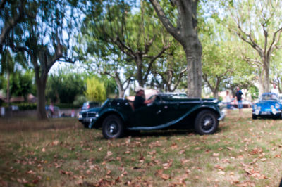 Car on field in park