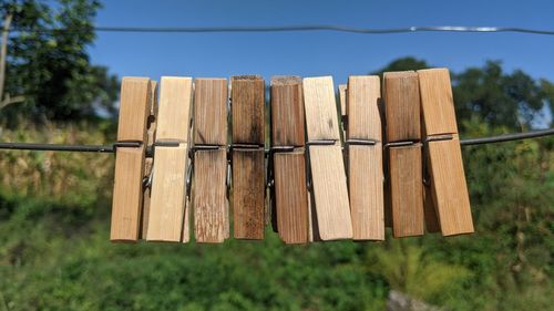 wood