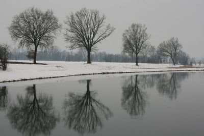 cold temperature