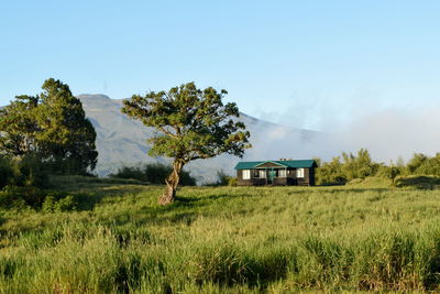 Cabin against a mountain background, mount kenya bandas, mount kenya