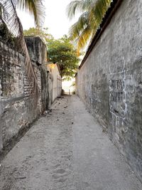 Narrow alley amidst buildings