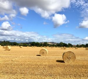 Hay bales on field against sky