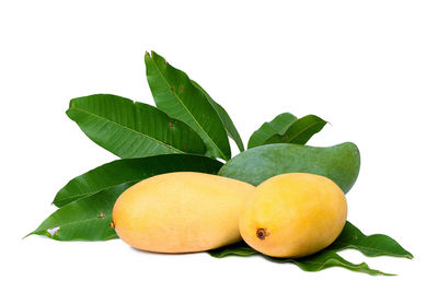 Close-up of fruits and leaves against white background