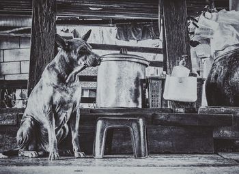 Close-up of built structure