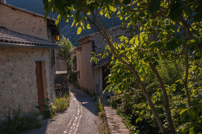 Narrow walkway leading to house