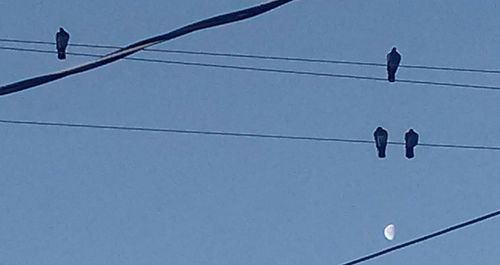 Low angle view of power lines