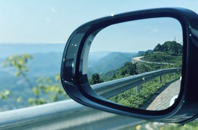 Reflection of trees on side-view mirror