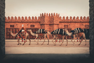 People walking on street