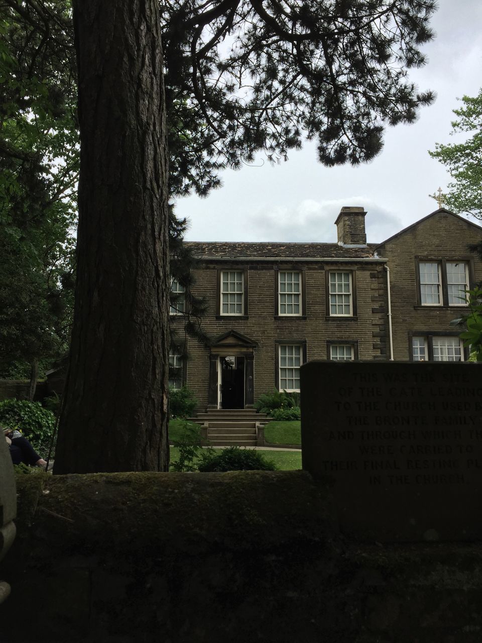 tree, plant, built structure, architecture, building exterior, tree trunk, trunk, nature, building, sky, no people, day, cloud - sky, outdoors, grass, residential district, growth, low angle view, lawn, house