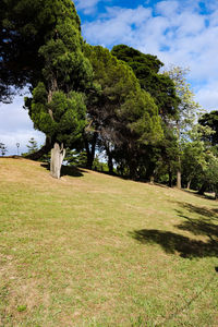 Trees on field against sky