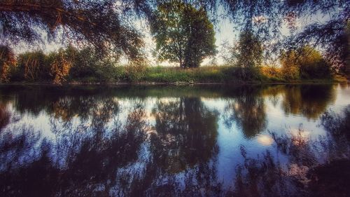 Reflection of trees in lake against sky