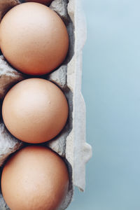 Directly above shot of eggs in container