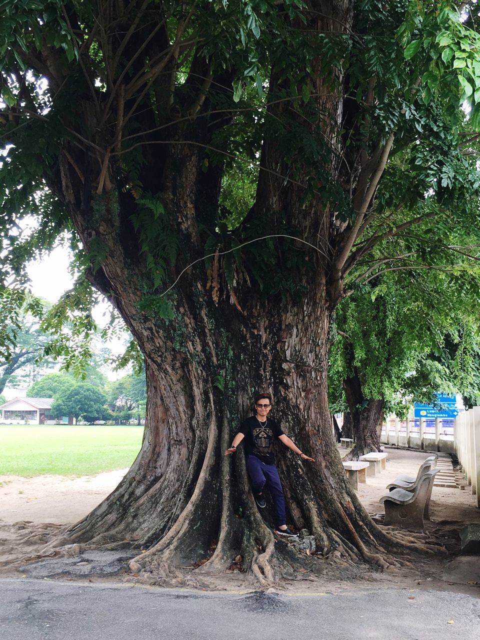 FULL LENGTH OF YOUNG WOMAN STANDING TREE