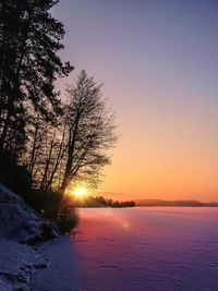 Snow covered trees against sky during sunset