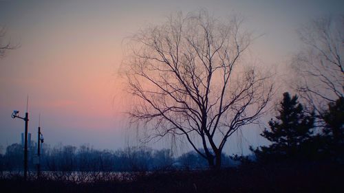 Bare trees on field against sky during sunset