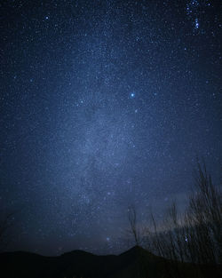 Low angle view of star field against sky at night