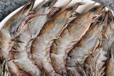 High angle view of fish for sale in market