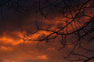 Low angle view of bare trees against sky at sunset