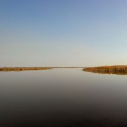 Scenic view of calm lake against clear sky
