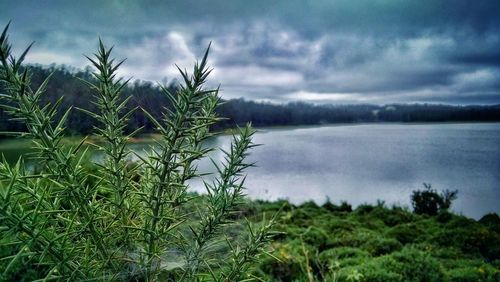 Scenic view of lake against cloudy sky