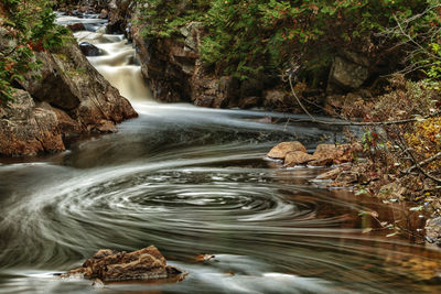 Water flowing in forest