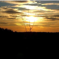 Silhouette of landscape at sunset