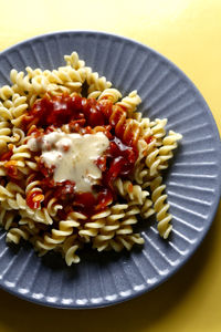 Directly above shot of meal served in plate