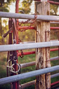 Close-up of padlocks on metal chain