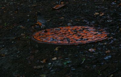 High angle view of abandoned building