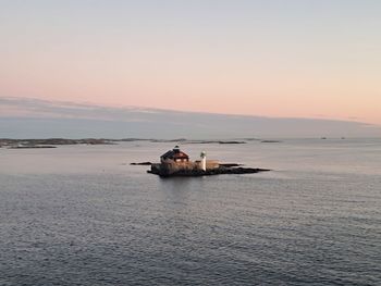 Birds in sea