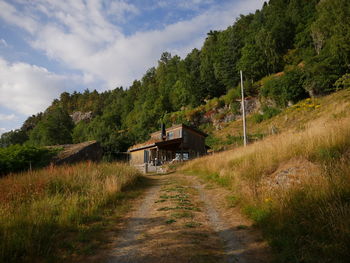 Dirt road amidst trees and buildings against sky