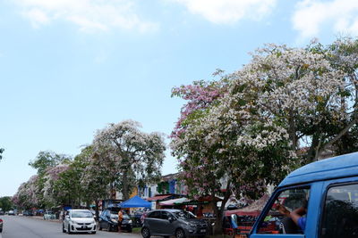 Cars on road by street against sky