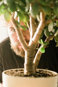 Close-up of potted plant