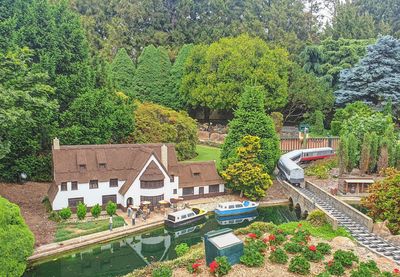 High angle view of trees and plants by building