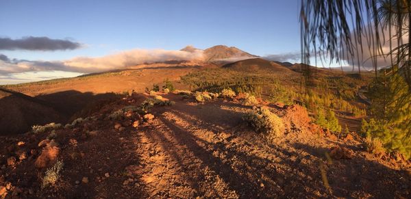 Scenic view of desert against sky