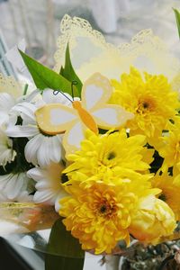 Close-up of yellow flower