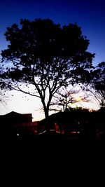 Silhouette trees against sky at night