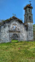 Plants growing on field against clear sky