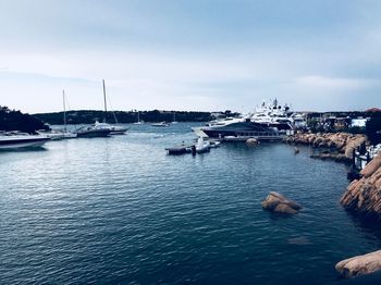 Sailboats moored at harbor against sky