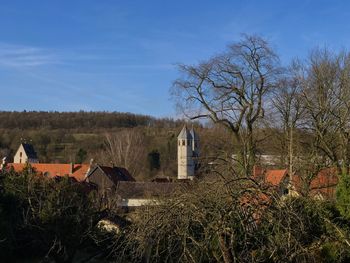 Trees and plants against sky