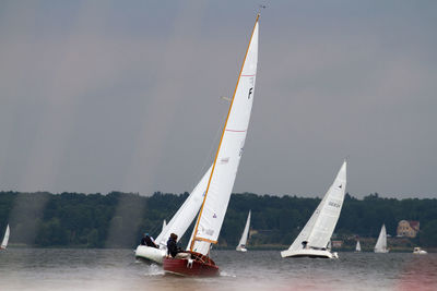Sailboats in river against sky