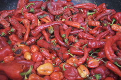 Close-up of red chili peppers for sale in market