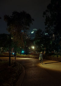 Rear view of people walking on illuminated city at night