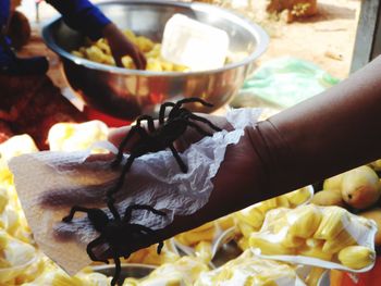 Person holding tarantula at fruit stall