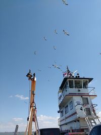 Low angle view of birds flying against sky